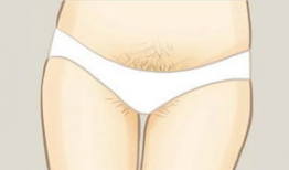 女人阴毛视频,阴毛的奥秘与护理